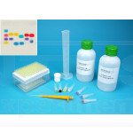 Kit electroforesis en gel de agarosa I