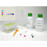 Kit simulación PCR