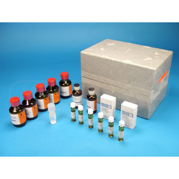 Equipo cromatografía B TLC Aminoácidos