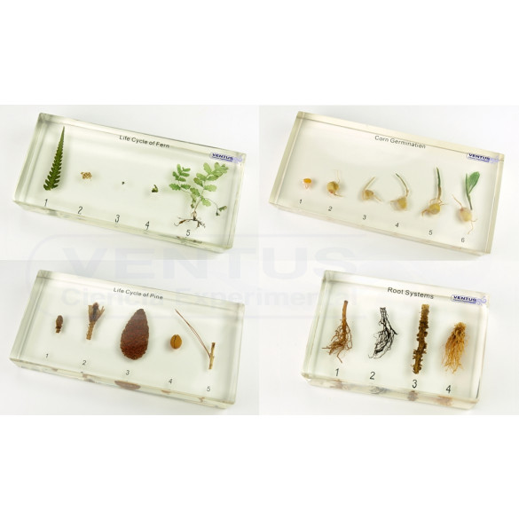 Colección bioplásticos de plantas