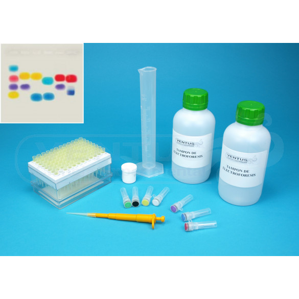 Kit electroforesis en gel de agarosa I