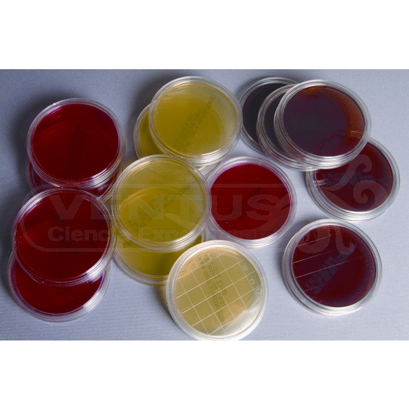 Placas contacto para microorganismos (30x)