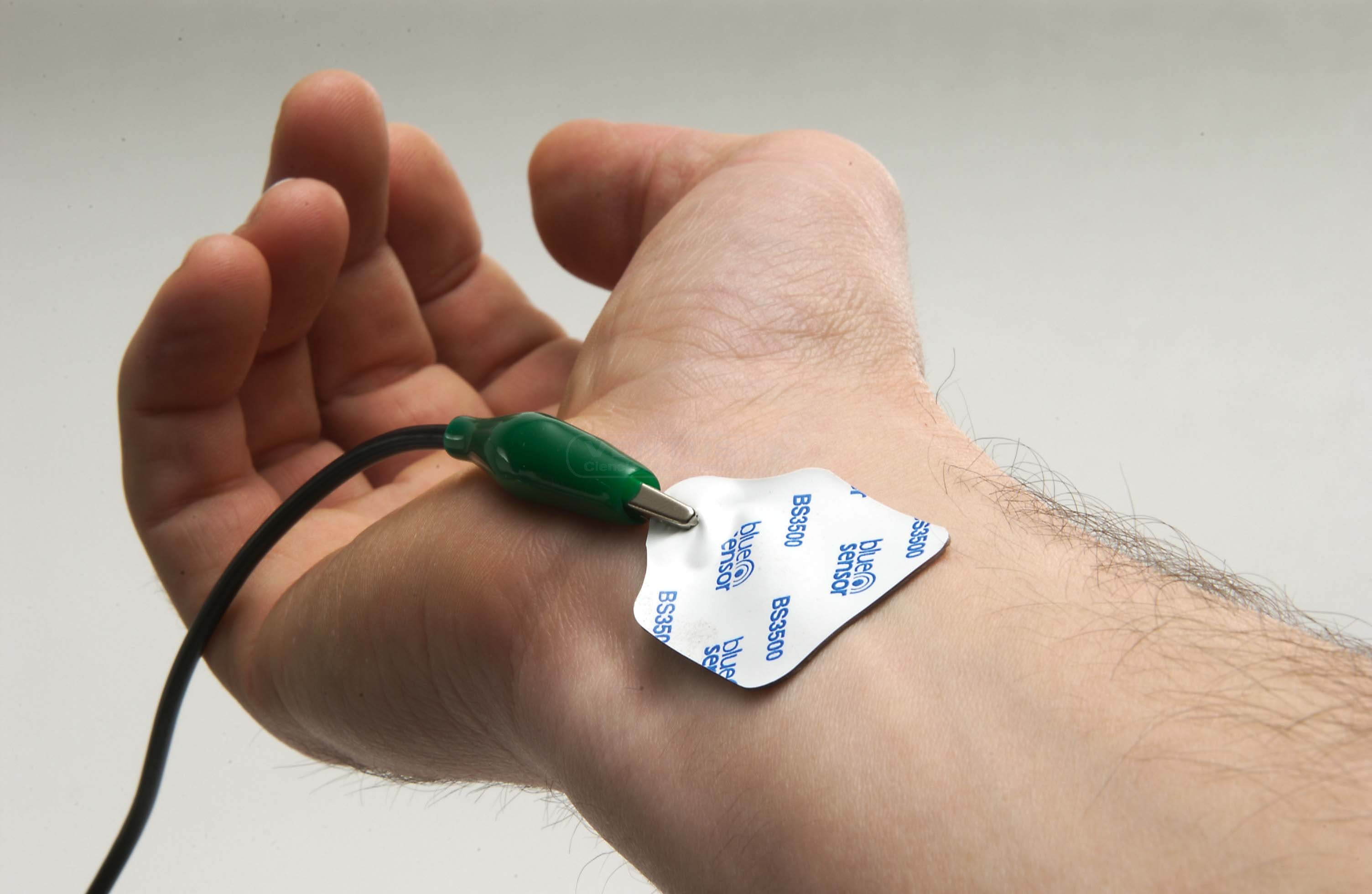 Electrodos, recambio para 04895