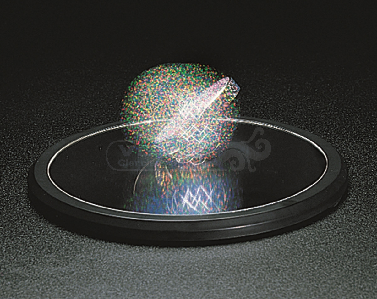 Disco de Euler