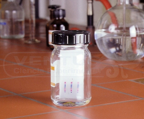 Recipiente vidrio con tapa para TLC