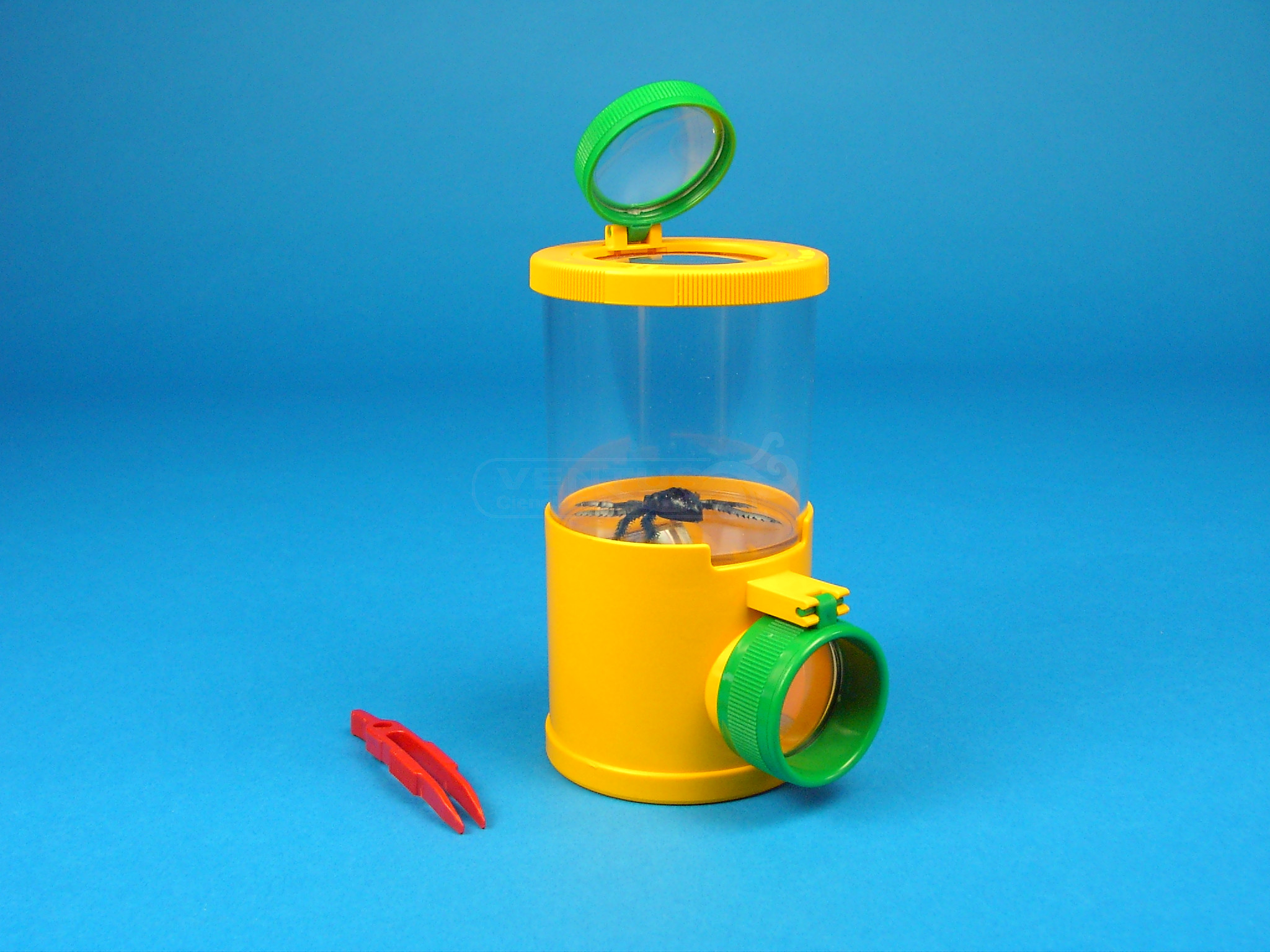 Visualizador de insectos