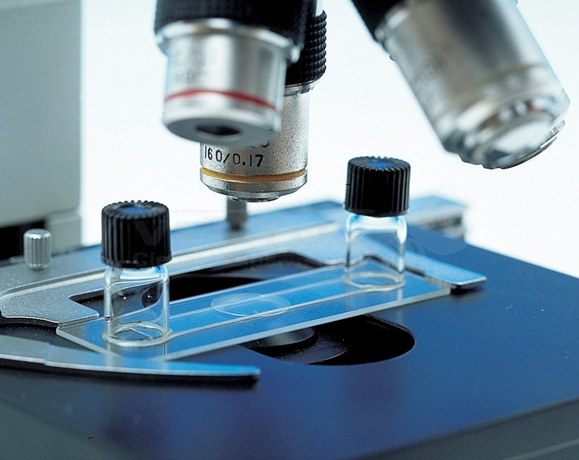 Porta para observación en vivo