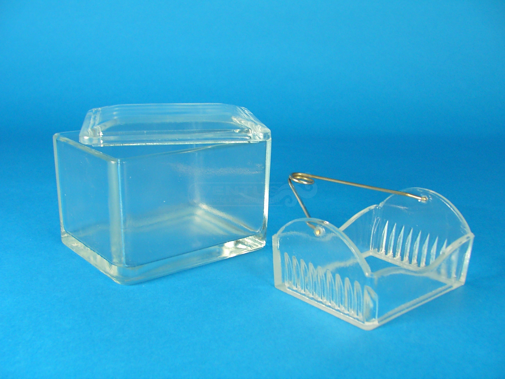 Cestillo y asa para tinciones