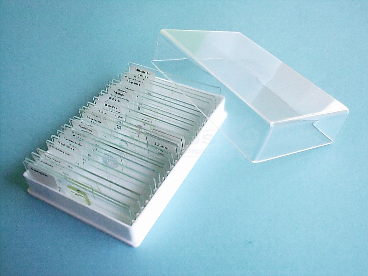 Preparaciones Biología general (25x) Preparaciones Biología general (25x)