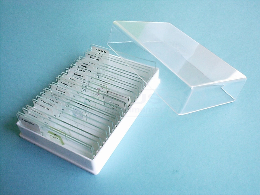 Preparaciones Histología animal II (25x)