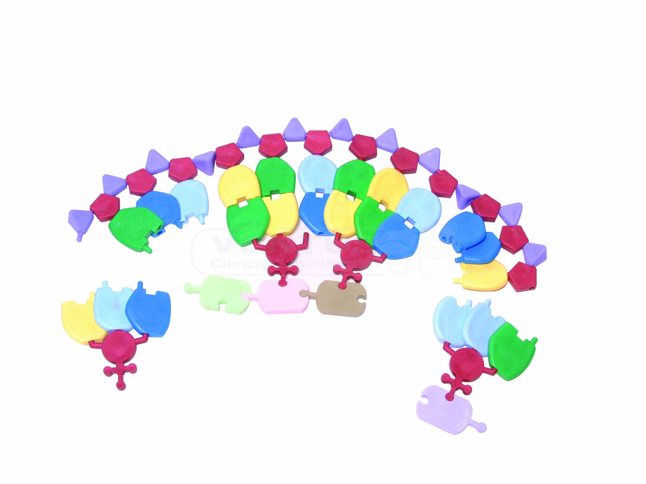 Kit de síntesis de proteínas