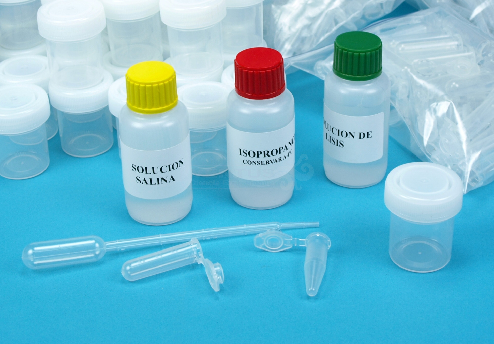 Kit para extracción de ADN en saliva