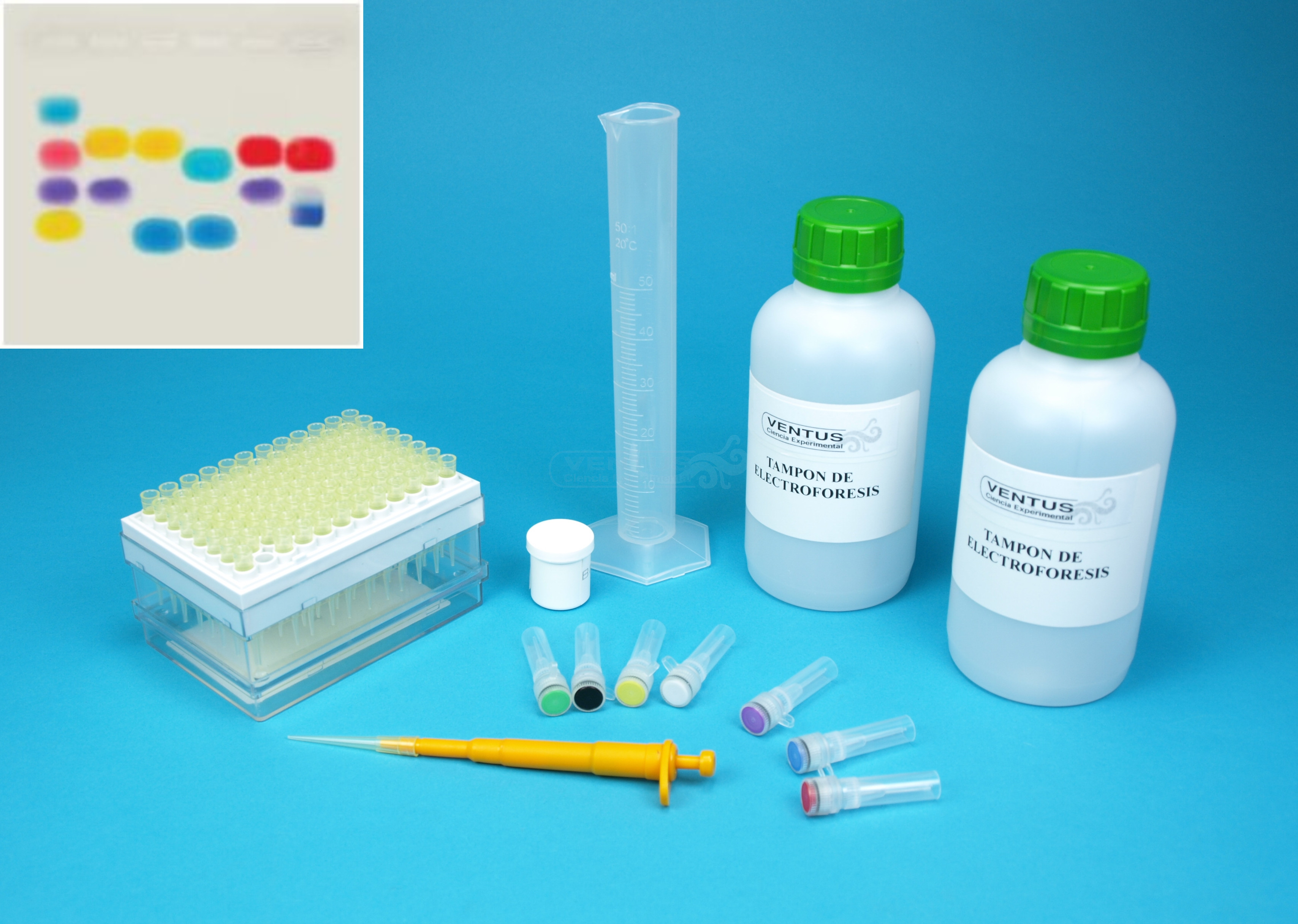 Kit electroforesis en gel de agarosa I