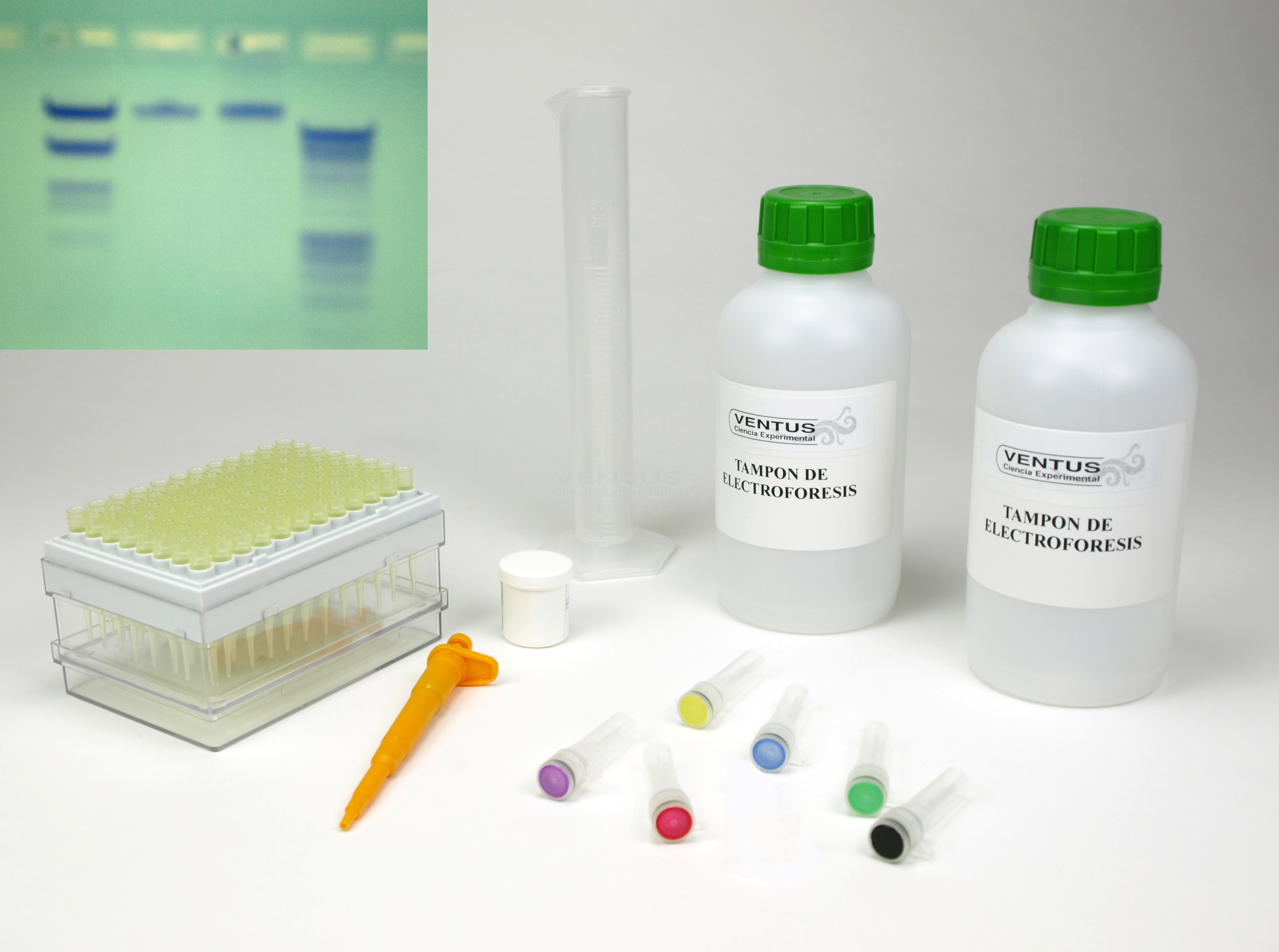 Kit electroforesis en gel de agarosa II Kit electroforesis en gel de agarosa II