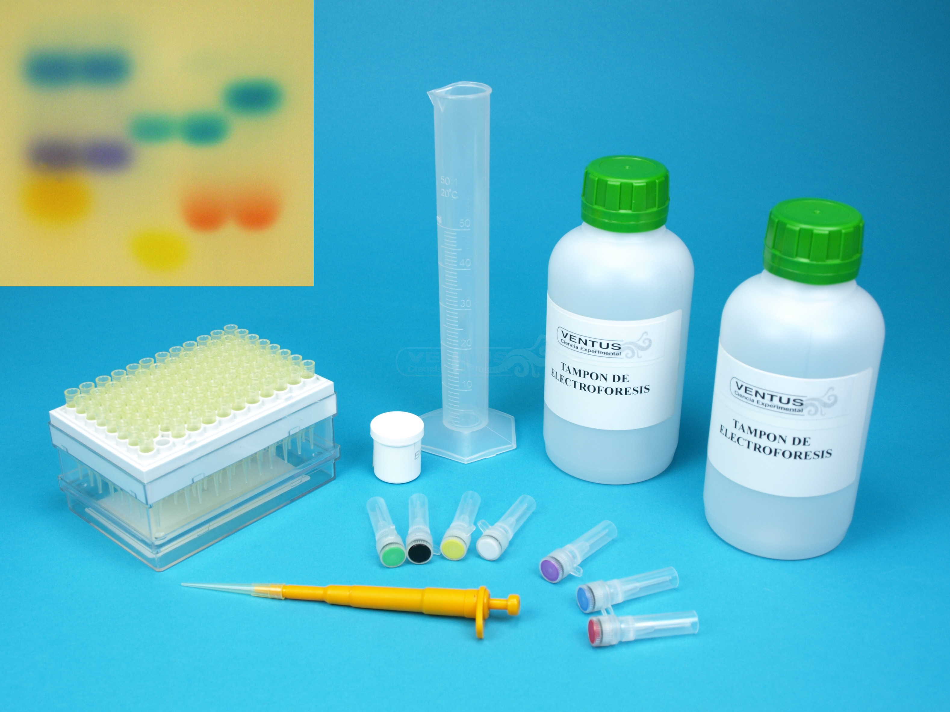 Kit test de paternidad