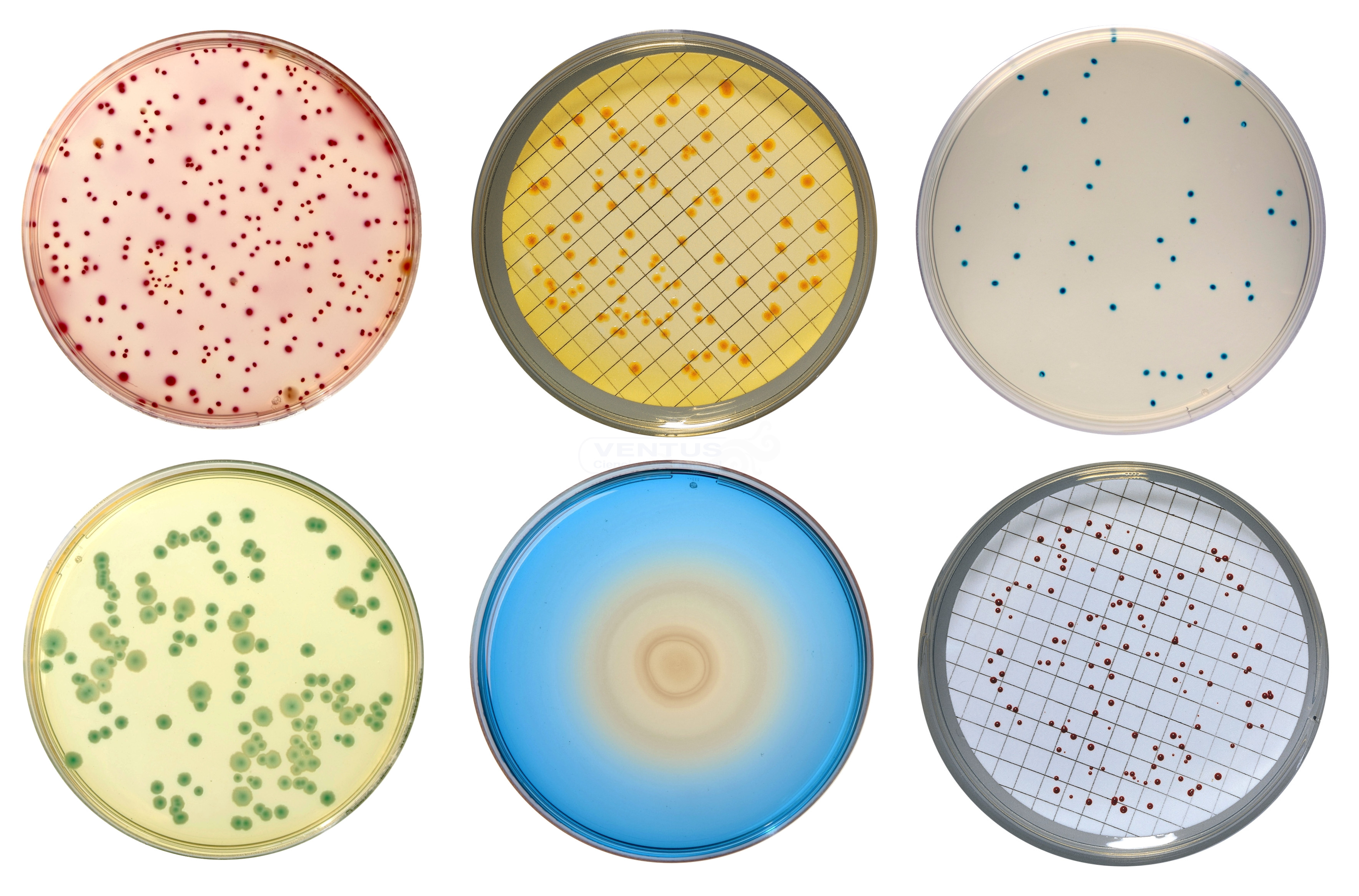 Medio de cultivo Nutritivo, Agar, 500g