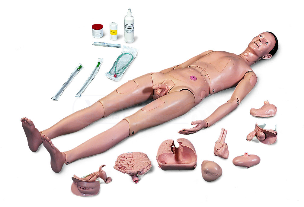 Muñeca para prácticas de enfermería I