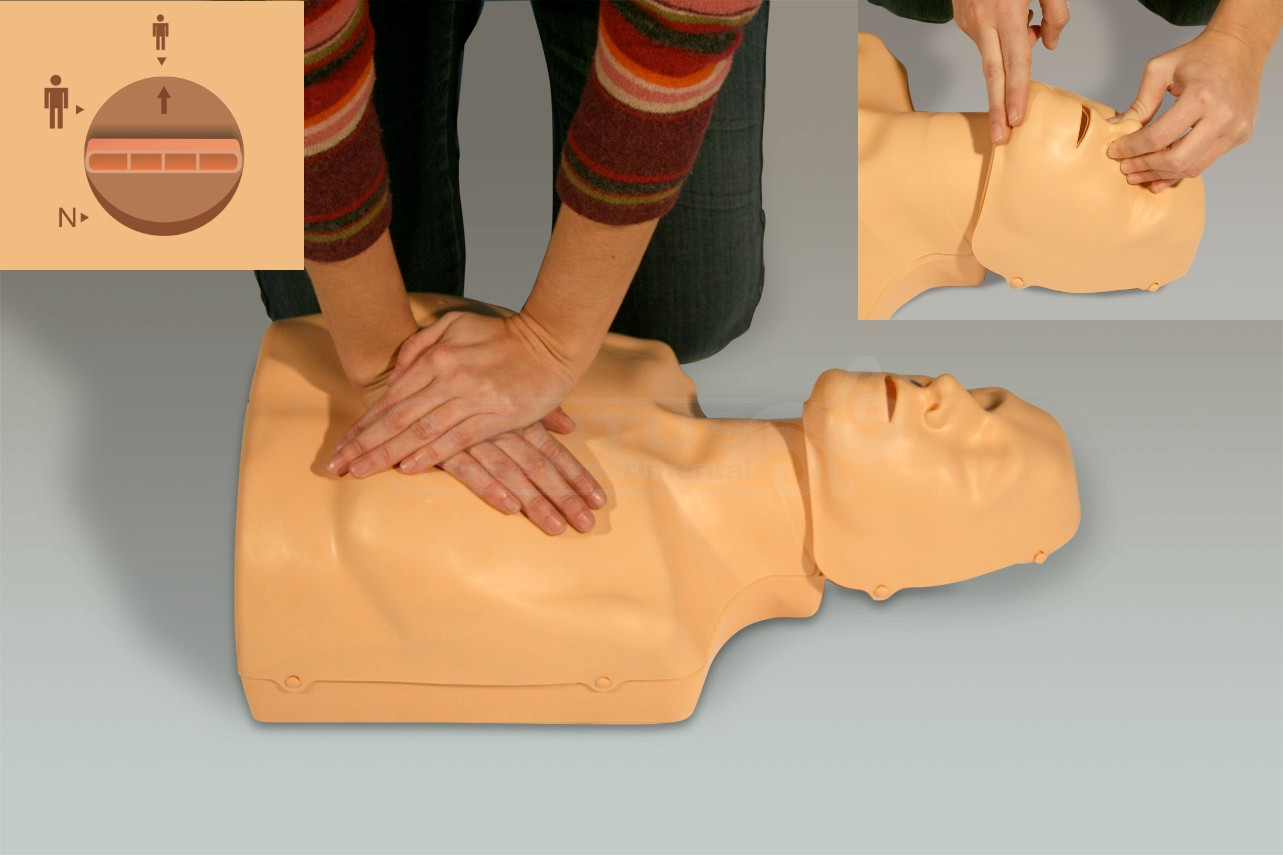 Maniquí RCP torso indicador acústico