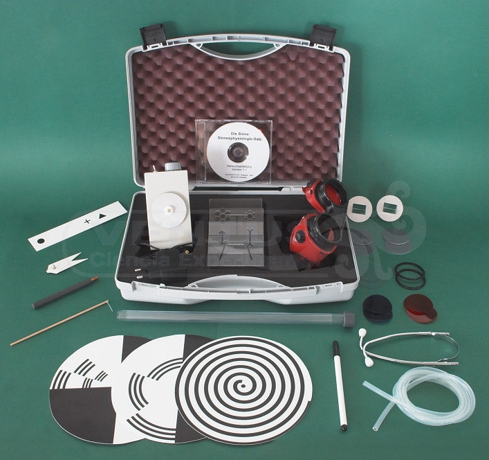 Kit órganos de los sentidos