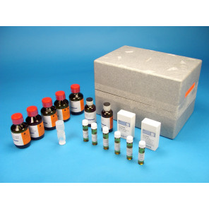 Equipo cromatografía B TLC Aminoácidos