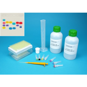 Kit electroforesis en gel de agarosa I