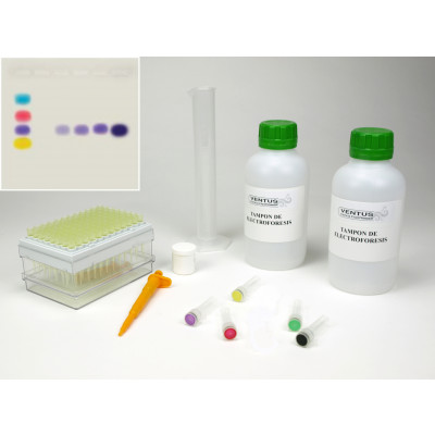 Kit simulación PCR