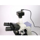 Cámara digital para microscopio USB 5 Mpx