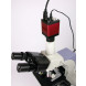 Cámara digital para microscopio HDMI